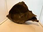 Mammoet Heupkom Fossiel - Decoratief & Goed Geconserveerd, Huis en Inrichting, Ophalen