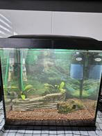 Aquarium, Dieren en Toebehoren, Ophalen of Verzenden, Zo goed als nieuw, Leeg aquarium