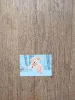 Ansichtkaart - Hond, Ophalen, 1980 tot heden, Ongelopen, Hond of Kat