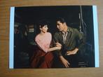 Elvis Presley briefkaart., Ophalen of Verzenden, Nieuw, Foto of Kaart