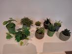 9 Kleine nep plantjes/cactussen inclusief potjes, Huis en Inrichting, Woonaccessoires | Kunstplanten en Kunstbloemen, Ophalen