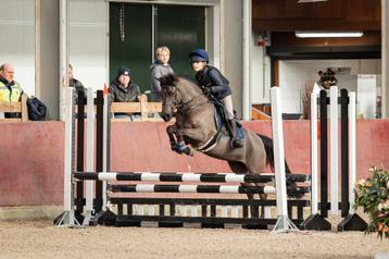 Zadelmak maken of klasseren van uw pony beschikbaar voor biedingen
