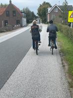 2 jonge gasten, Ophalen of Verzenden, Gebruikt