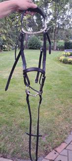 Mooi hoofdstel, Dieren en Toebehoren, Paarden en Pony's | Hoofdstellen en Tuigage, Ophalen of Verzenden, Zo goed als nieuw, Dressuur