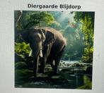 Blijdorp, Twee personen, Ticket of Toegangskaart