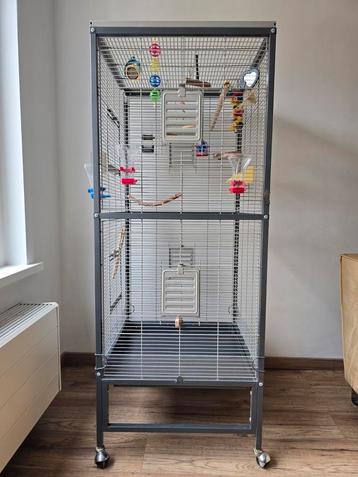 Vogelkooi Montana 60x60x155 cm voor parkieten/kleine vogels beschikbaar voor biedingen