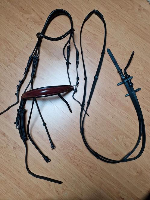 COB Hoofdstel QHP Chianti zwart-rood incl. teugels, Dieren en Toebehoren, Paarden en Pony's | Hoofdstellen en Tuigage, Zo goed als nieuw