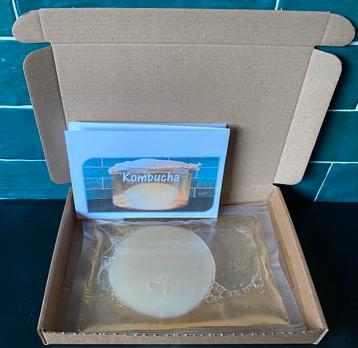 Kombucha scoby’s 🍹 beschikbaar voor biedingen