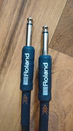 Roland RIC-B10 Jack-Jack Kabel (2 stuks), Ophalen of Verzenden, Gebruikt, Instrument