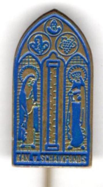 Kan. v. Schaikfonds blauw op koper speldje ( K_232 ) beschikbaar voor biedingen