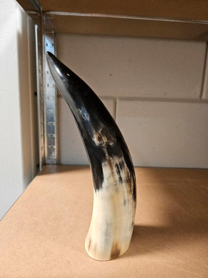 2X authentieke drinkhoorns, Huis en Inrichting, Woonaccessoires | Overige, Gebruikt, Ophalen of Verzenden