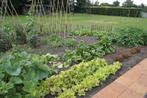Gezocht paardenmest moestuin gratis, Ophalen of Verzenden, Overige soorten, 100 tot 250 cm