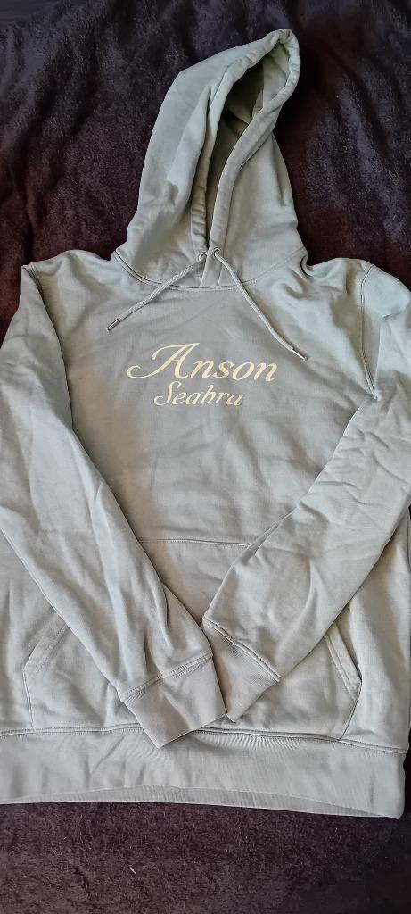 Anson Seabra merch, Kleding | Dames, Truien en Vesten, Zo goed als nieuw, Maat 38/40 (M), Groen, Ophalen of Verzenden