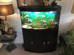 Prachtige JUWEL aquarium compleet met toebehoren, Dieren en Toebehoren, Ophalen of Verzenden, Gebruikt, Plant(en), Steen of Hout