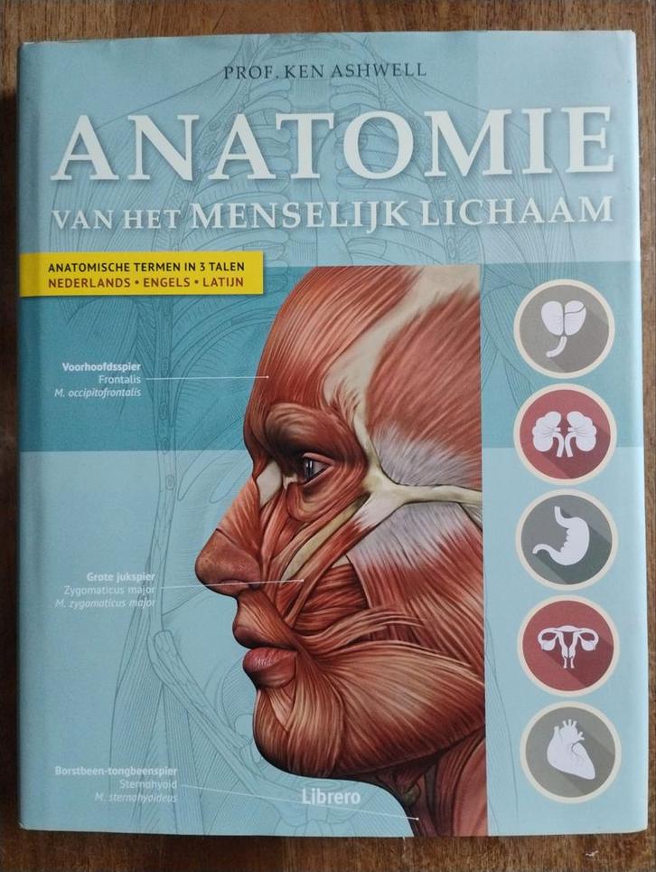 Anatomie van het menselijk lichaam - Ken Ashwell, Boeken, Studieboeken en Cursussen, Zo goed als nieuw, HBO, Beta, Ophalen of Verzenden