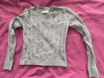 grijs truitje mt xs van hollister, Kleding | Dames, Ophalen of Verzenden, Zo goed als nieuw, Maat 34 (XS) of kleiner, Grijs