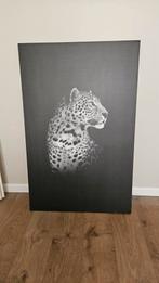 Eyecatcher! Canvasdoek luipaard, Print, Zo goed als nieuw, 50 tot 75 cm, Ophalen