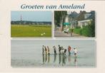 AMELAND Vuurtoren Wadlopers Straat Groeten, Verzenden, 1980 tot heden, Gelopen, Waddeneilanden