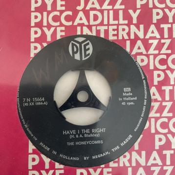 The honeycombs - Have i the right beschikbaar voor biedingen