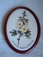 Plateelbakkerij Schoonhoven met Althaea Rosea Cavanilles, Ophalen of Verzenden