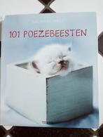 Boek: 101 Poezebeesten van Rachael Hale, Gelezen, Rachael Hale, Ophalen of Verzenden, Katten