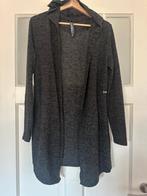 Amy & Ivy lang vest maat M, Maat 38/40 (M), Ophalen of Verzenden, Grijs, Amy & Ivy