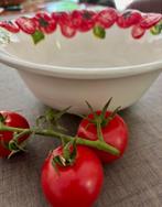 Schaal tomaten, Huis en Inrichting, Keuken | Servies, Ophalen, Overige stijlen, Porselein, Schaal of Schalen