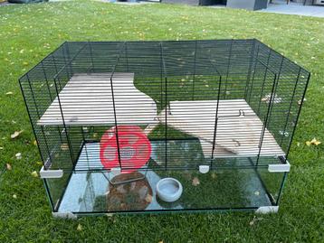 Hamsterkooi beschikbaar voor biedingen