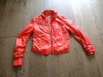 Rood dun G Star (sport) jasje maat L, Maat 38/40 (M), Ophalen of Verzenden, Zo goed als nieuw, Hardlopen of Fietsen