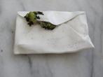 Beeldje van 2 kleine kikkers, die uit witte envelop kruipen, Ophalen of Verzenden, Gebruikt, Dier