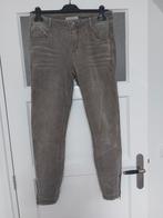 Red Button broek taupe velvet maat 40, Kleding | Dames, Broeken en Pantalons, Maat 38/40 (M), Beige, Ophalen of Verzenden, Zo goed als nieuw