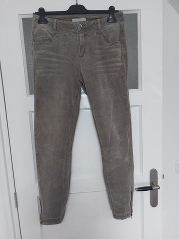 Red Button broek taupe velvet maat 40 beschikbaar voor biedingen