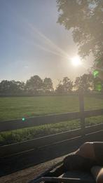 Chalet luxe,jacuzzi,IRsauna&zonnebank,per uur, Groningen