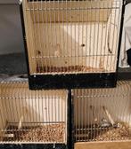 3x tentoonstelling kooitjes te koop, Ophalen of Verzenden, Hout, Vogelkooi