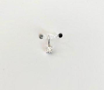 Zilveren Hanger met Lab Grown Diamant - Zeeman beschikbaar voor biedingen