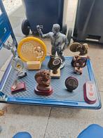 12 x Dart Trofee, verschillende modellen, Ophalen of Verzenden, Zo goed als nieuw