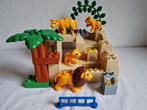 Duplo dierentuin safari dieren leeuw, Kinderen en Baby's, Speelgoed | Duplo en Lego, Ophalen of Verzenden, Gebruikt, Duplo