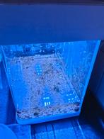 Aquarium 40 liter met alles erbij teab, Dieren en Toebehoren, Vissen | Aquaria en Toebehoren, Ophalen, Gebruikt, Verlichting of Verwarming