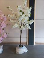 witte bloesem boom 150 cm Nieuw, Nieuw, Ophalen of Verzenden