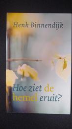 Henk Binnendijk - Hoe ziet de hemel eruit?, Ophalen of Verzenden, Zo goed als nieuw, Henk Binnendijk