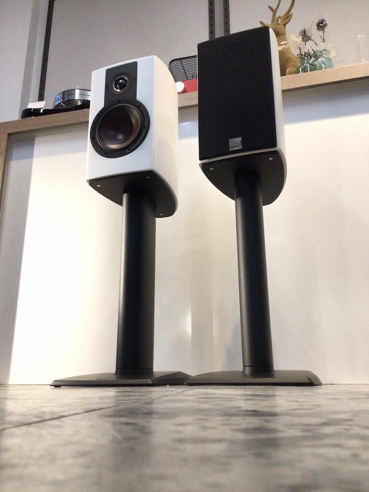 Dali Epicon 2 met originele stands, Audio, Tv en Foto, Actiecamera's, Zo goed als nieuw, Overige merken, Ophalen of Verzenden