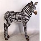 Zebra Veulen beeld - Hoogte 110 cm, Ophalen, Nieuw, Overige soorten, Overige typen