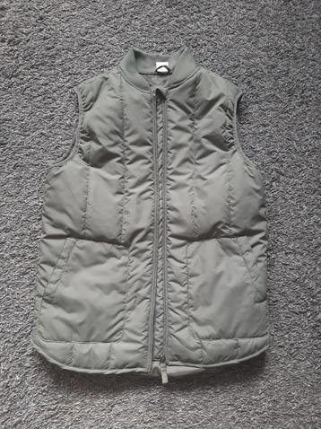 Nieuwe bodywarmer HEMA. Maat 146/152 beschikbaar voor biedingen