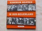Koningin Beatrix in Oud-Beijerland, Boeken, Geschiedenis | Stad en Regio, Ophalen of Verzenden, Zo goed als nieuw, 20e eeuw of later