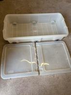 Opbergbak voor onder bed/bank, Ophalen, Gebruikt, 40 tot 60 cm, 75 tot 100 cm