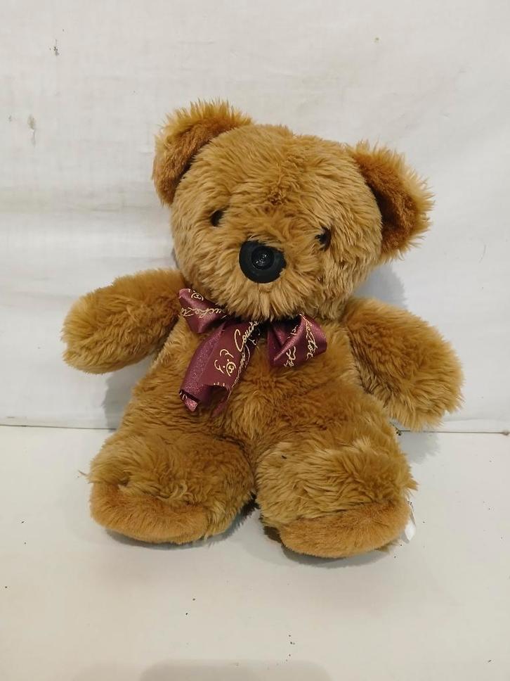 Beer met camera, Verzamelen, Beren en Cherished Teddies, Stoffen beer, Overige merken, Ophalen of Verzenden