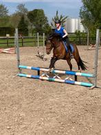 Verzorgpony Gezocht, Dieren en Toebehoren, Paarden en Pony's | Overige Paardenspullen, Overige soorten, Ophalen of Verzenden