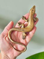 Vintage messing salamander, Antiek en Kunst, Ophalen of Verzenden