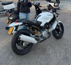 ducati monster 600 a2, Motoren, Onderdelen | Ducati, Ophalen of Verzenden