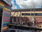 Diverse stukken wortelhout op voorraad, Ophalen, Nieuw, Plant(en), Steen of Hout